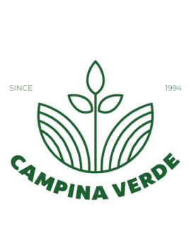 Teste de compra